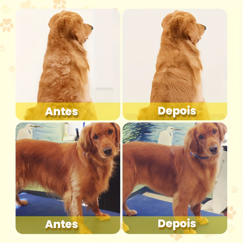 Escova a Vapor para Remoção de Pelos de Cães e Gatos Nossa Casa Fácil