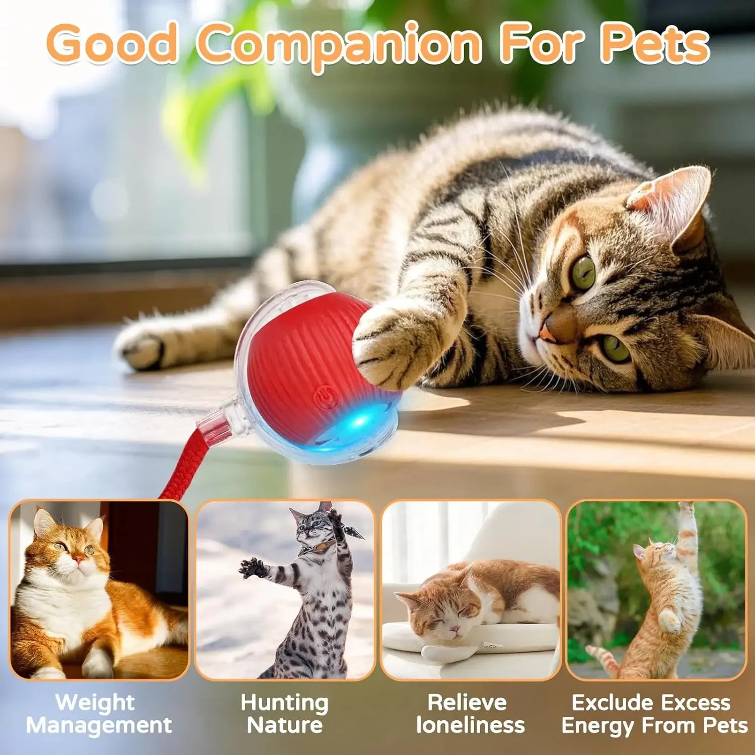 Brinquedo interativo para cães e gatos com bola que rola automaticamente, cauda artificial, recarregável. Minha loja