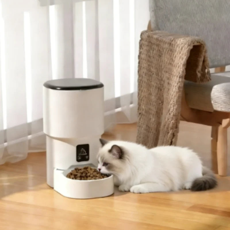 Novo comedouro automático para animais de estimação com botão de 4 litros e Wi-Fi: distribuidor inteligente de ração para cães e gatos Minha loja