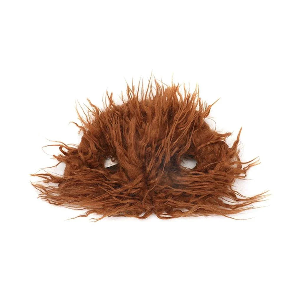 Fantasia Canina de Halloween | Chuck Nossa Casa Fácil